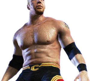 W W E_ Wrestler_ In_ Action_ Pose