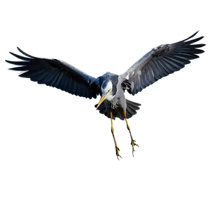 Wading Heron Flight PNG 06122024 PNG