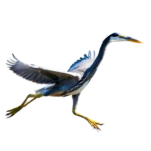 Wading Heron Flight PNG 06122024 PNG