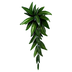 Wall Hanging Plant Png 18 PNG image