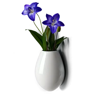 Wall-mounted Vase PNG 05252024 PNG