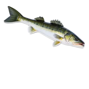 Walleye Angler Png 61 PNG image