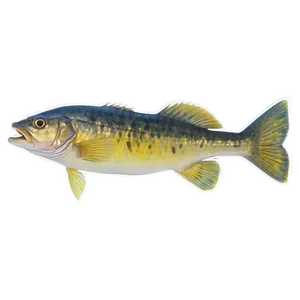 Walleye Fish Tank Png 28 PNG image