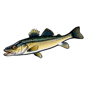 Walleye Illustration Png Lca PNG image