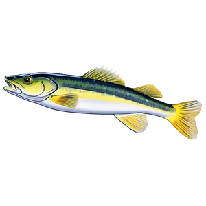 Walleye Swimming Png 06262024 PNG image