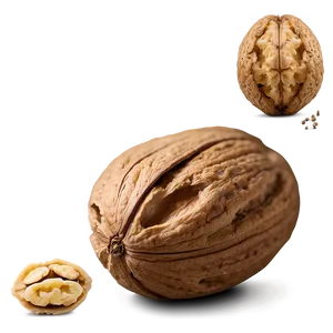 Walnut A PNG image