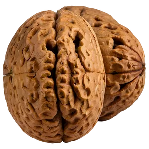 Walnut C PNG image