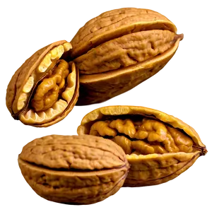 Walnut Closeup PNG 28