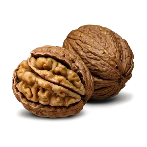Walnut Closeup PNG Dth