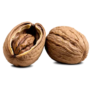 Walnut D PNG image