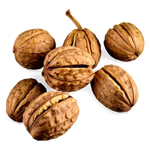 Walnut Drawing PNG Wdu26 PNG