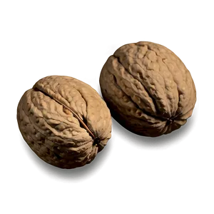Walnut Harvest PNG 25