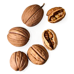 Walnut Harvest PNG Vtg
