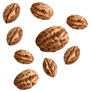 Walnut Illustration PNG 15
