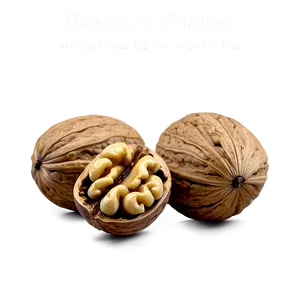 Walnut Illustration PNG 90