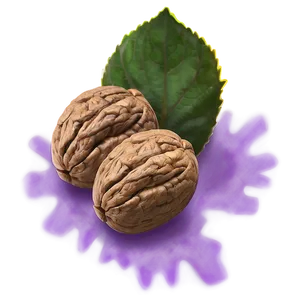 Walnut Illustration PNG Hac61 PNG