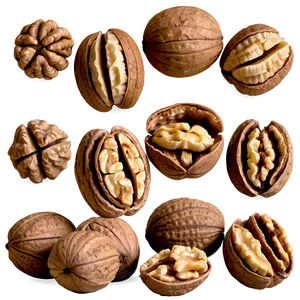 Walnut In Bowl PNG 15 PNG
