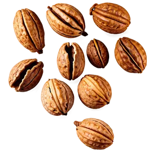 Walnut In Shell PNG Lxs4 PNG
