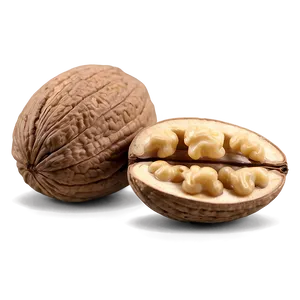 Walnut Kernel Png Wyn PNG image