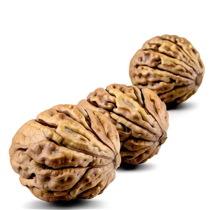Walnut On White Background PNG Hlo71 PNG
