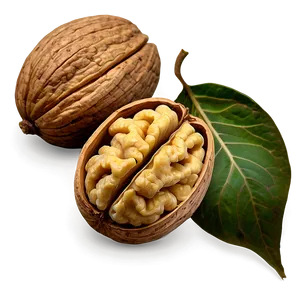 Walnut Pattern PNG Jgb51 PNG