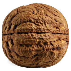 Walnut Png Din77 PNG image