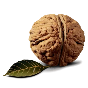 Walnut With Leaves PNG Gil