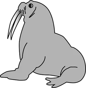 Walrus Vector Illustration PNG image