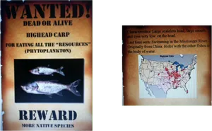 Wanted Poster Bighead Carp PNG image