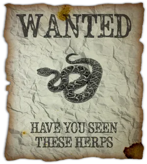 Wanted Poster Snake Herps PNG image