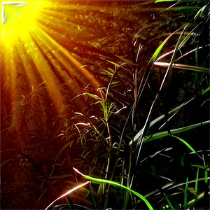Warm Sun Rays Png Veo85 PNG image