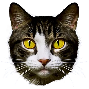 Warrior Cat Filter PNG Vka76 PNG
