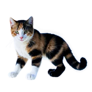 Warrior Cat PNG Aqe PNG