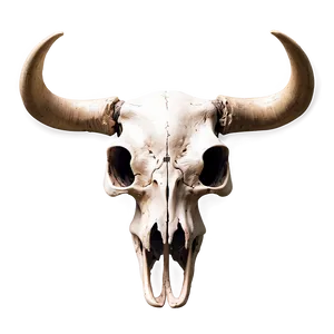 Warrior Cow Skull PNG Het