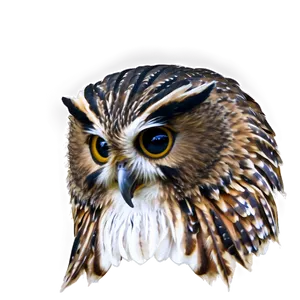 Warrior Owl Png 83 PNG image