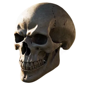 Warrior Skull Face Portrait PNG Arp