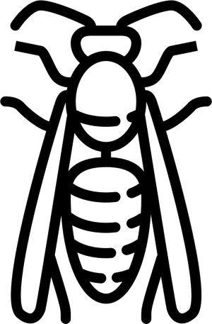 Wasp Icon Outline PNG image