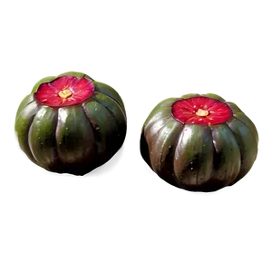 Water Chestnut PNG 06122024 PNG
