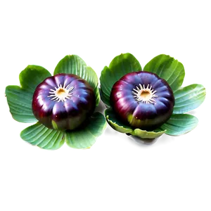 Water Chestnut PNG 06122024