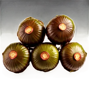 Water Chestnut PNG 06122024 PNG