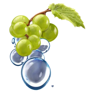 Water Droplet On Grape PNG 06292024 PNG