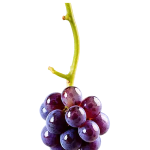 Water Droplet On Grape PNG Eey PNG