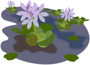 Water Hyacinth Illustration PNG image