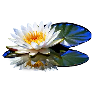 Water Lily Flower Png 90 PNG image