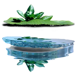 Water Reflection PNG 06112024
