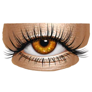 Water-resistant Lashes Png 05252024 PNG image
