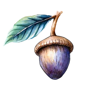 Watercolor Acorn Art Png 05252024 PNG image