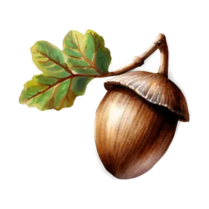 Watercolor Acorn Art Png Hjp56 PNG image