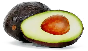 Watercolor Avocado Halfand Whole