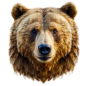 Watercolor Bear Face PNG 44 PNG